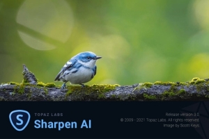 【软件/PS插件】人工智能图片锐化清晰处理软件/PS插件 Topaz Sharpen AI v2.1.7 Win版