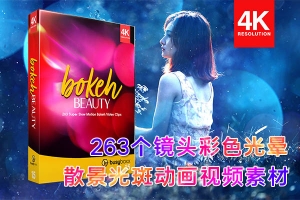 【4K视频素材】263个镜头散景彩色光斑闪烁炫光叠加动画 BBV15 – Bokeh Beauty