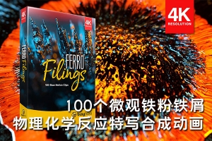 【4K视频素材】100个微观铁屑有机物特写物理化学反应合成动画 BBV20 – Ferro Filings