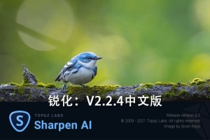 【软件/PS插件】人工智能图片锐化清晰处理软件/PS插件 Topaz Sharpen AI v2.2.4 Win/Mac汉化版
