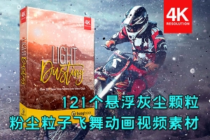 【4K视频素材】121个悬浮粉尘粒颗灰尘粒子飞舞合成动画 BBV14 – Light Dusting
