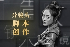 【视频教程】《孙晓迪分镜头脚本》掌握10种类型商业广告创作思路