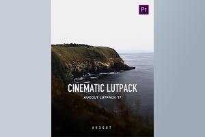 【调色预设】油管大神AUXOUT老式复古电影Vlog视频调色预设 CINEMATIC LUT PACK ’17 by AUXOUT