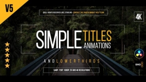 【达芬奇模板】30个创意简洁金色文字标题动画 Gold Simple Titles 4K