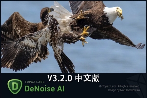 【软件/PS插件】图片人工智能AI降噪去颗粒处理软件 Topaz DeNoise AI v3.2.0 Win/Mac汉化版