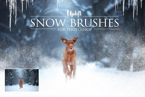 【PS笔刷】25款冬天下雪雪花雪景冰柱PS笔刷 25 Snow Brushes for Photoshop