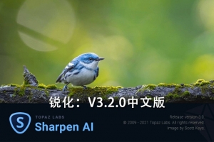 【软件/PS插件】人工智能图片锐化清晰处理软件/PS插件 Topaz Sharpen AI v3.2.0 Win/Mac汉化版