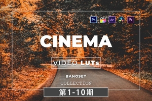 【调色预设】电影视频Vlog专业色彩调色预设LUT视频预设 第1-10期 Bangset Cinema Video LUTs Pack 1-10