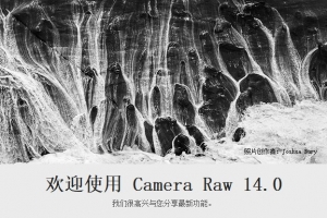 【ACR滤镜】Adobe Camera Raw滤镜 14.0.0.950 Win中文版