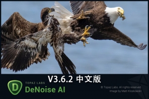 【软件/PS插件】图片人工智能AI降噪去颗粒处理软件 Topaz DeNoise AI v3.6.2 Win/Mac汉化版