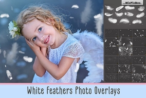 【PNG素材】29张温柔轻盈白色羽毛创意设计合成PNG素材 White Feathers Overlays