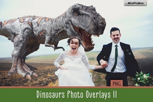 【PNG素材】34张侏罗纪时代恐龙巨兽创意设计合成PNG素材Vol2 Dinosaur v.2 Overlays