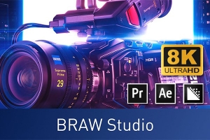【AE/PR/AME插件】将Blackmagic RAW格式视频素材直接导入编辑 BRAW Studio v2.7.8 Win版