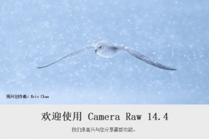 【ACR滤镜】Adobe Camera Raw滤镜 14.4.0.1121 Win/Mac中文版