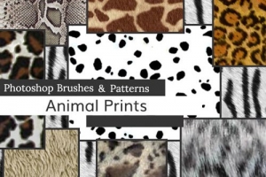 【PS笔刷】用于 Photoshop 和 Photoshop Elements 的 17种动物毛发和18个PS图案 Animals Prints