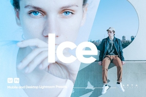 【LR预设】4款 ARTA Presets 冰白淡雅日系风清新冷调摄影调色LR预设 ARTA Presets – Ice Presets for Lightroom