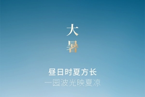 【PSD模板】72款24节气之大暑海报设计地产企业推广宣传节日插画PSD模板