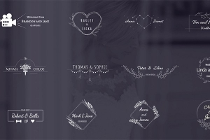 【FCPX插件】12组创意浪漫爱情线条花蔓婚礼文字标题动画 Wedding Titles Pack