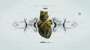 【AE模板】80种医疗科技人类心脏器官心率跳动HUD动画 HUD Medical Interface Heart