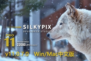 【软件】专业RAW照片处理编辑软件 SILKYPIX Developer Studio Pro 11.0.7.0 Win/Mac中文版