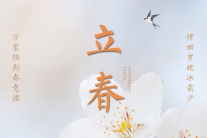 【PSD模板】70款24节气之立春海报地产商业宣传插画设计展示PSD/AI模板