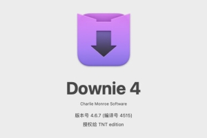 【Mac软件】Mac电脑强大好用的在线视频下载软件 Downie 4.6.7(4515) 中文版