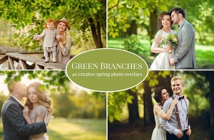 【PNG素材】40张春天绿叶树叶前景遮挡创意摄影照片叠加PNG素材 Green Branches Photo Overlays