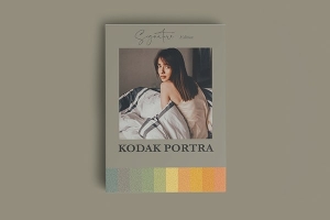 【LR预设】26款柯达Kodak Portra 胶片人像复古颗粒摄影调色LR手机版预设 Kodak Portra Inspired Mobile Lr