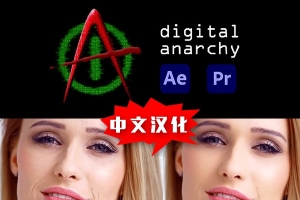 【AE/PR插件】磨皮美颜锐化光照视频去闪烁AE/PR插件合集 Digital Anarchy bundle 2025.5 Win汉化版