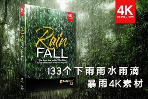 【4K视频素材】133个微风细雨狂风暴雨下雨雨水雨滴雨珠4K动画 BBV33 – Rain Fall