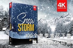 【4K视频素材】100个冬季雪花下雪飘雪飞舞4K动画视频素材 BBV23 – Snow Storm