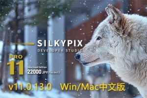 【软件】专业RAW照片处理编辑软件 SILKYPIX Developer Studio Pro 11.0.13.0 Win/Mac中文版