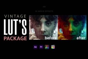 【调色预设】30个复古怀旧经典电影色调视频调色LUT预设 Vintage LUTs Presets Collection