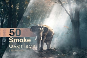 【图片素材】50张晨曦朦胧薄雾烟雾艺术氛围增强照片叠加图片素材 Smoke Overlays