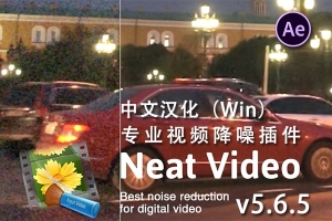 【AE插件】专业强大的视频降噪插件 Neat Video Pro 5.6.5 Win汉化版