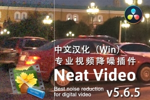 【达芬奇插件】专业强大的视频降噪插件 Neat Video Pro 5.6.5 CE Win汉化版