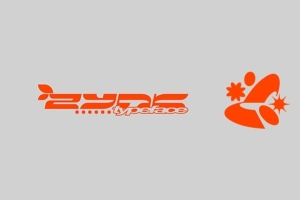 【字体】科幻先锋游戏电玩Y2K赛博朋克工业风海报排版英文字体 HVNTER – Zynk Typeface