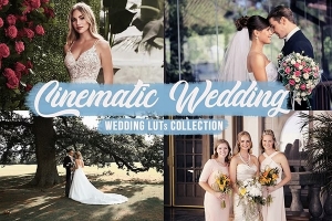 【调色预设】12款唯美浪漫爱情婚礼电影视频调色LUT预设 Cinematic Wedding LUTs Bundle