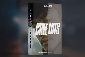 【调色预设】13种电影风格专业视频调色相机转换LUT预设 Acidbite – Cine LUTS