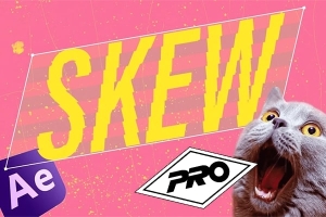 【AE脚本】图层序列顺序批量调整排列整理工具 Skew Pro v2.0.6 +使用教程