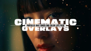 【AE模板】15个梦幻漂浮粒子灰尘叠加动画 Cinamatic Particles Dust Bokeh