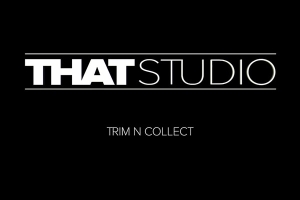 【AE脚本】项目工程素材文件整理优化打包输出工具 Trim N Collect v1.5.3 +使用教程