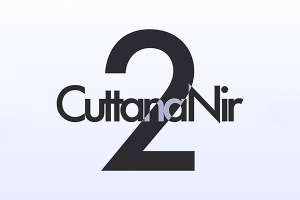 【AE脚本】手写文字书写笔画拆分效果动画生成工具 CuttanaNir2 v2.0.4 + 使用教程