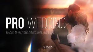 【AE模板】浪漫优雅爱情婚礼视频文字标题转场叠加调色效果 Pro Wedding Bundle – Transitions, Titles, LUTs, Overlays