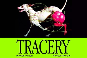 【AE插件】自动化颜色区域跟踪动态图形叠加生成特效 Tracery v1.1 Win/Mac汉化版