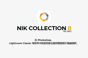 【PS插件】人像风光摄影降噪锐化全功能调色插件套装 Nik Collection 8.3.0 Win/Mac中文版