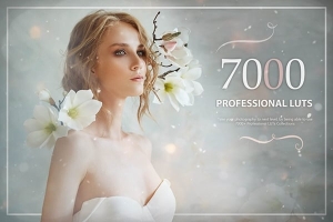 【调色预设】7000+梦幻童话时尚婚礼情感食物发光森林爱情LUTS调色预设 Eldamar Studio – 7000+ Professional LUTs