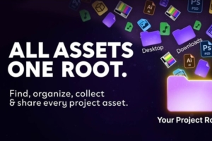 【AE脚本】项目工程素材资产整理优化工具 Root v1.1.1 +使用教程