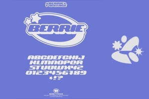 【字体】潮流时尚复古Y2K艺术美学海报排版品牌设计英文字体 Hvnter – Berrie Typeface