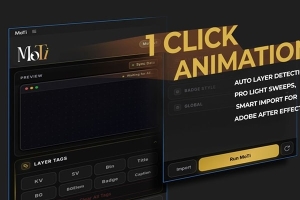 【AE脚本】根据图层标记一键自动生成MG动画 MoTi v1.0.0 汉化版 +使用教程